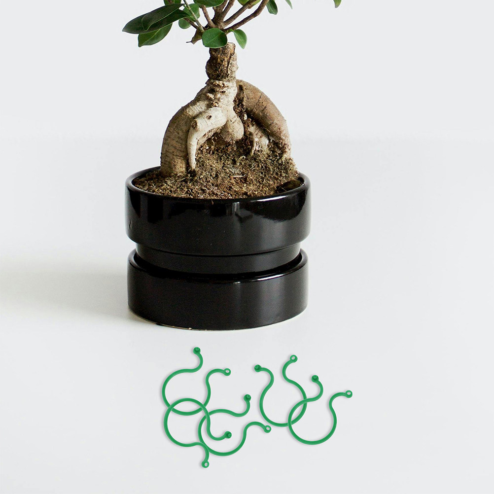 Vine Climbing Plastic - 200개 정원 식물 클립 플라스틱 토마토