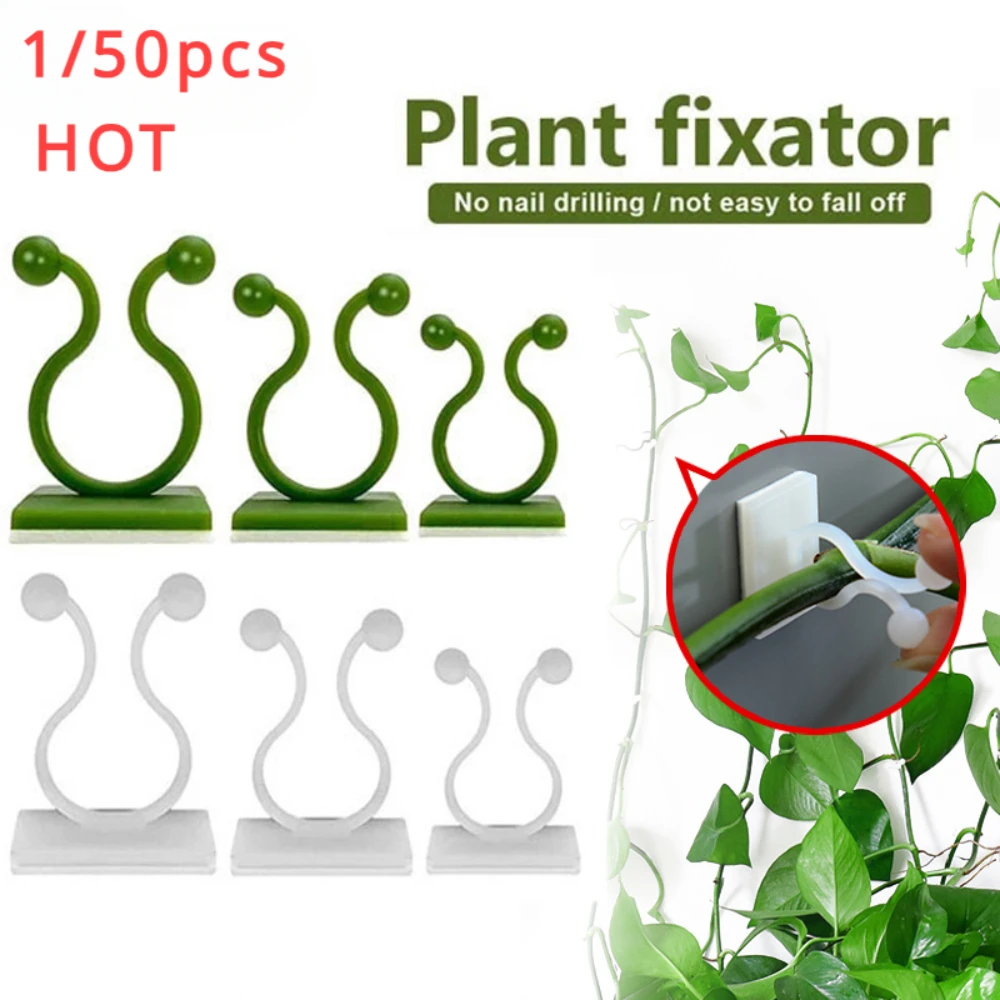 Vine Climbing Plastic - 정원 액세서리에 대 한 1/30/50Pcs 식물