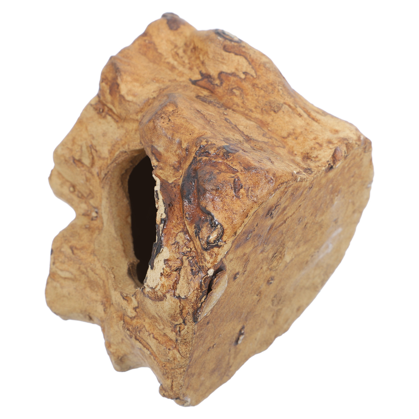 프리미엄 세라믹 어항 동굴 물고기 탱크 장식 새우 은신 - Hide Cave Ceramic 리뷰 및 가격