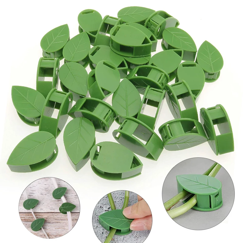 1-50Pcs 보이지 않는 식물 벽 등반 장치 포도 나 - Vine Climbing Plastic 리뷰 및 가격
