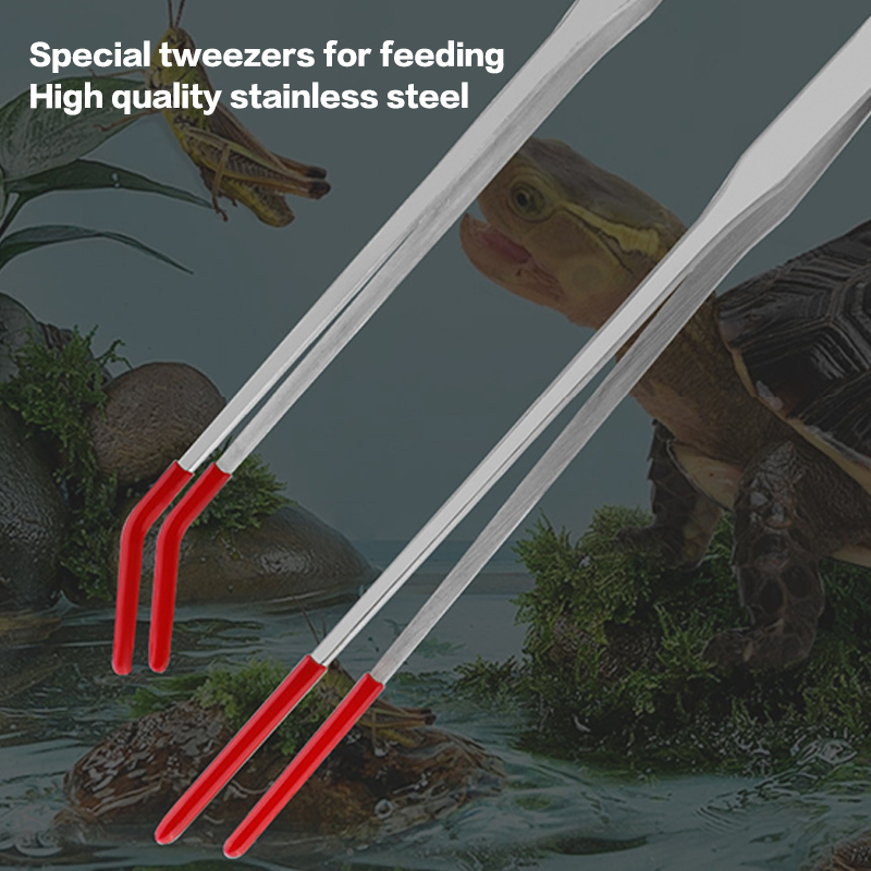 전문 수족관 도구: 스테인리스 스틸 핀셋, 고무 그립이 - Feeding Tong Stainless 리뷰 및 가격