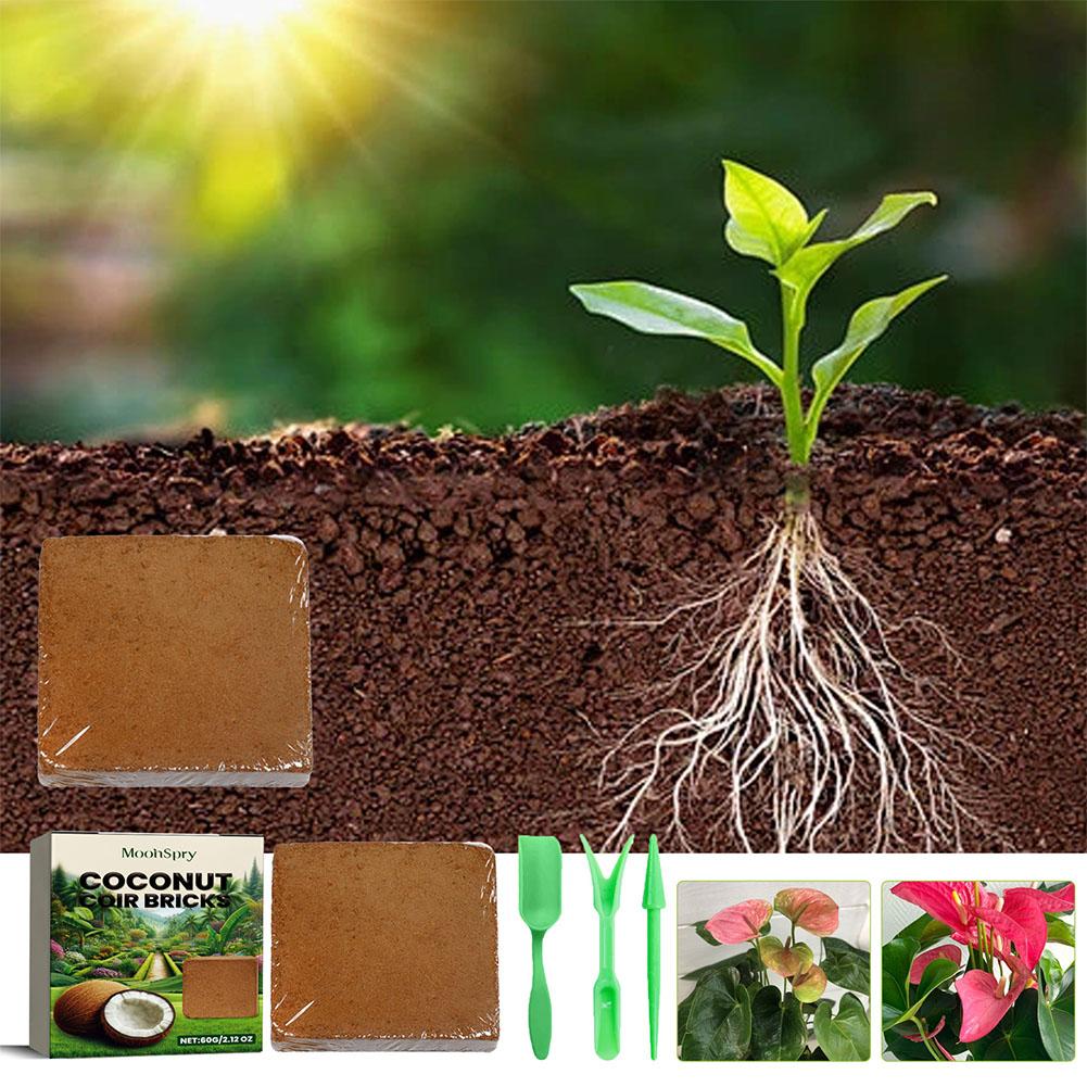 파충류 코코넛 토양 코아 프레스 코코넛 섬유 기질, 도 - Substrate Coconut Fiber 리뷰 및 가격