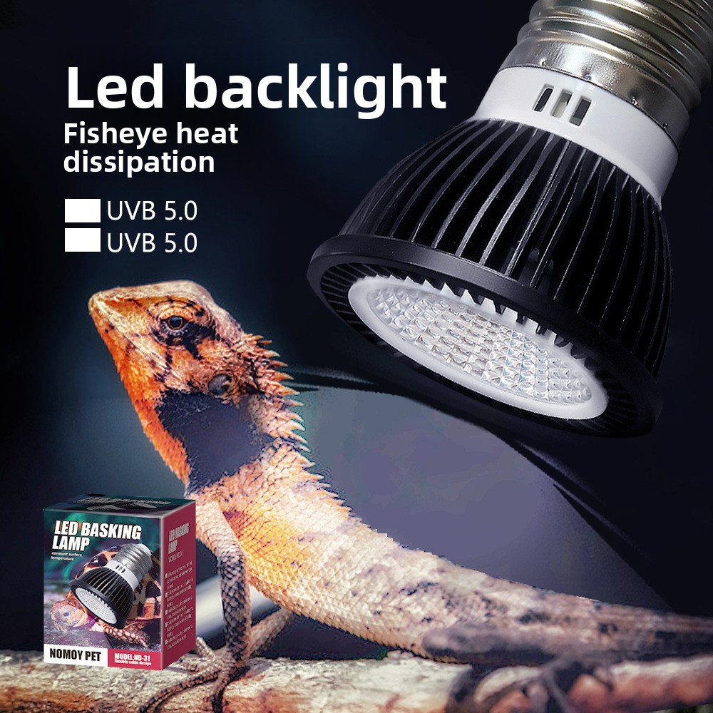노모이 파충류 UVB LED 바스킹 램프 - 수염이 있 - Vitamin D3 Reptile 리뷰 및 가격