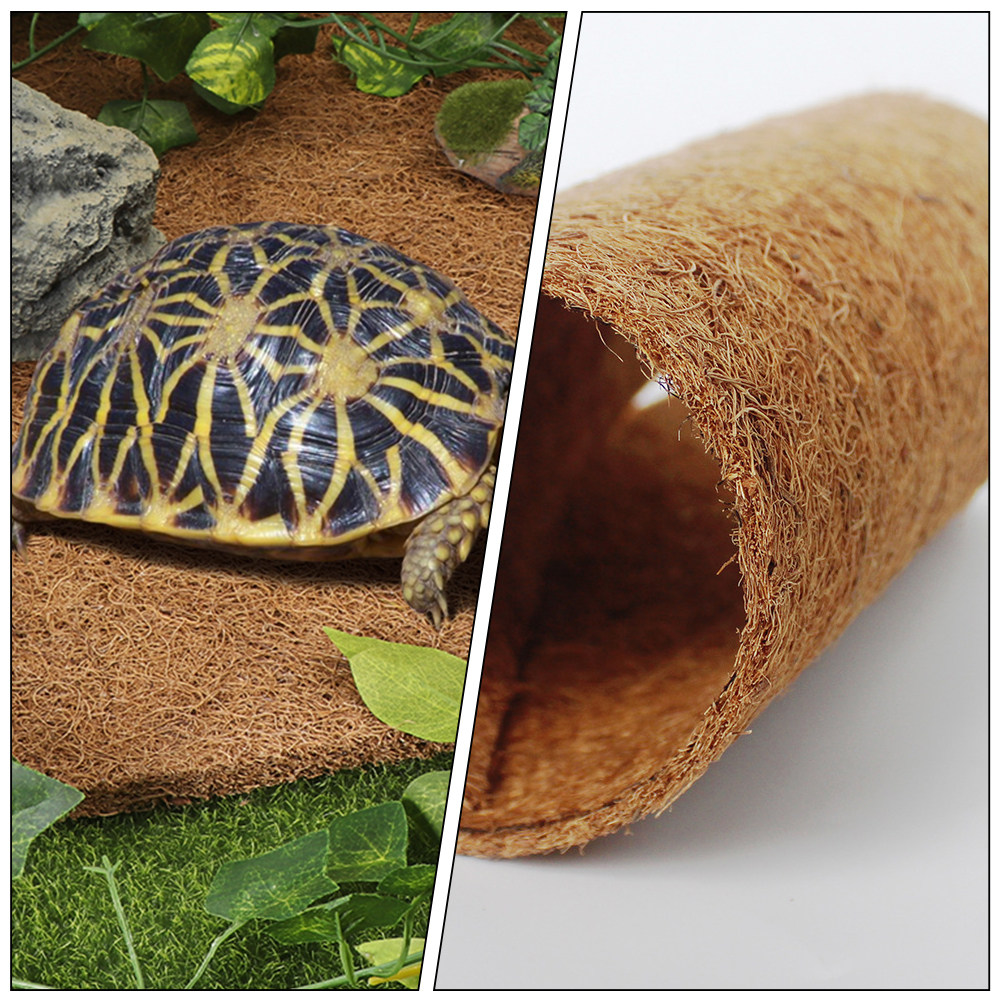 파충류용 코코넛 바닥재, 천연 섬유 테라리움 카펫 매트 - Substrate Coconut Fiber 리뷰 및 가격