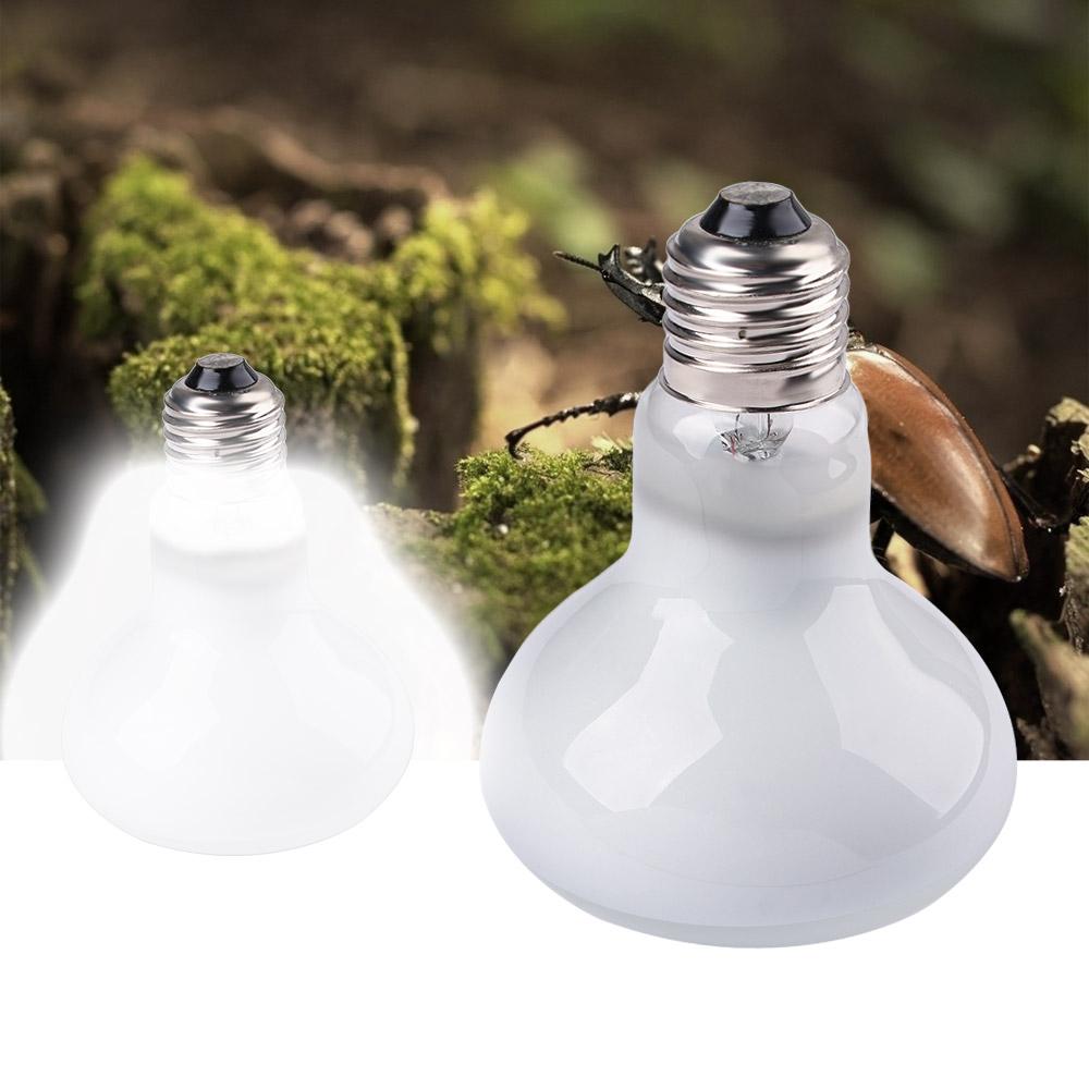 거북이 히터 열등 파충류 일광욕등 할로겐 전구 UVA  - Basking Bulb Halogen 리뷰 및 가격