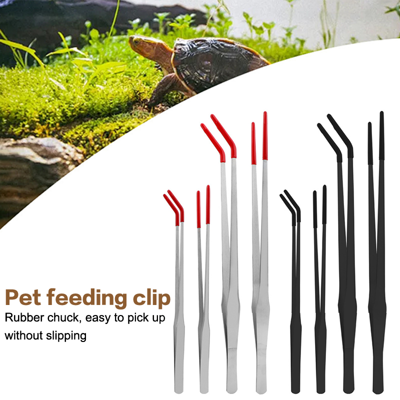 스테인레스 스틸 파충류 먹이주기용 집게 고무팁 수족관용 - Feeding Tong Stainless 리뷰 및 가격