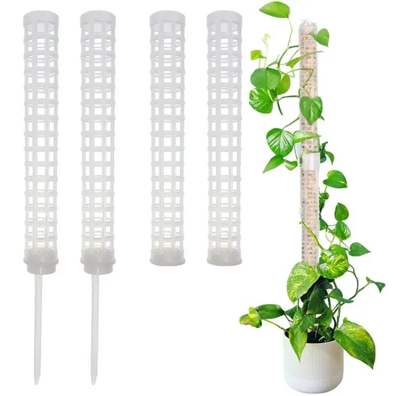 식물 등반 프레임 식물 지지대 플라스틱 이끼봉 실내 화 - Vine Climbing Plastic 리뷰 및 가격