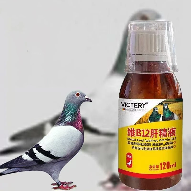 120ml 레이싱 비둘기 토닉 비타민 B12 간 보충제 - Vitamin D3 Reptile 리뷰 및 가격