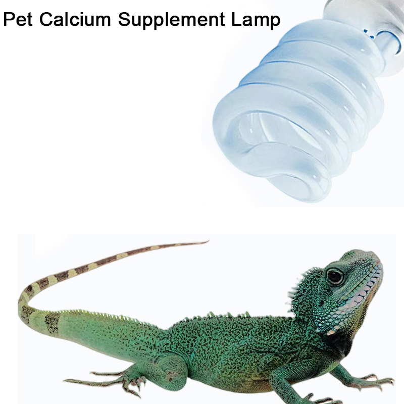 E27 13W/26W 파충류 Uvb 램프 칼슘 보충 램 - Calcium Powder Reptile 리뷰 및 가격
