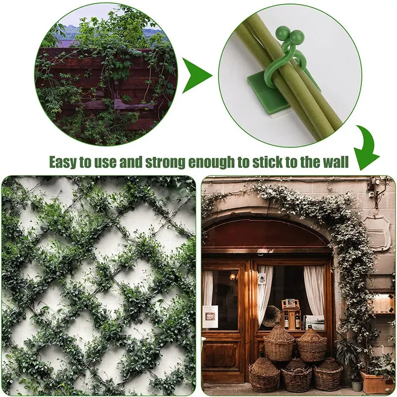 정원 액세서리에 대 한 1/30/50Pcs 식물 정원  - Vine Climbing Plastic 리뷰 및 가격