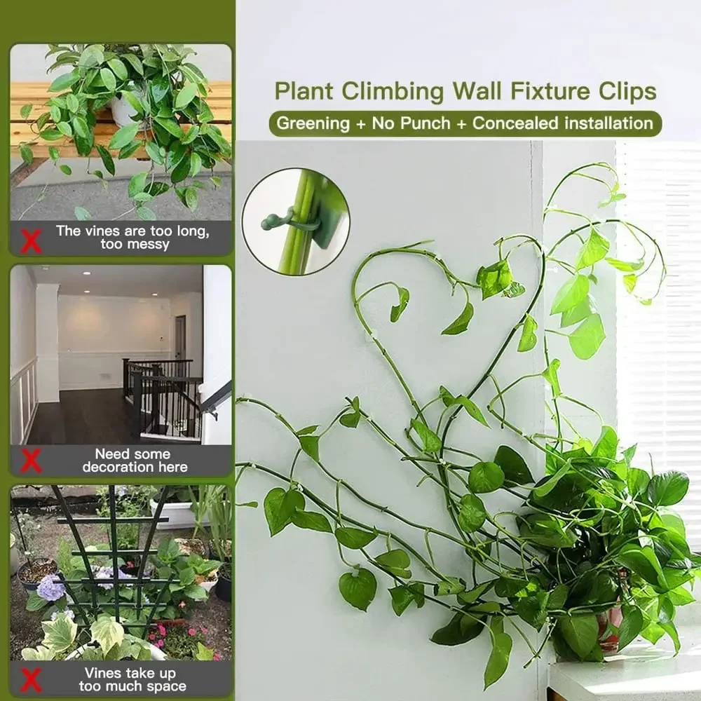정원 액세서리에 대 한 1/30/50Pcs 식물 정원  - Vine Climbing Plastic 리뷰 및 가격