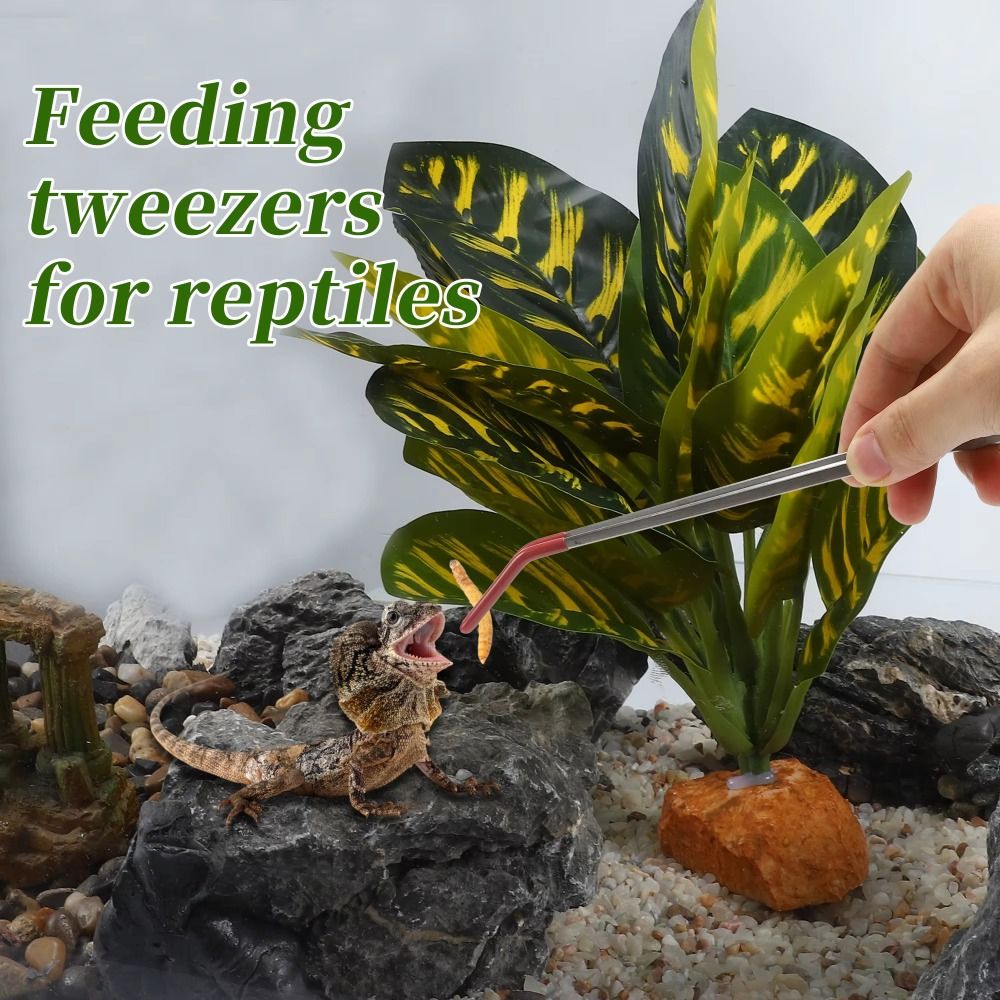 스테인레스 스틸 수족관 먹이 핀셋 고무 헤드 27CM  - Feeding Tong Stainless 리뷰 및 가격