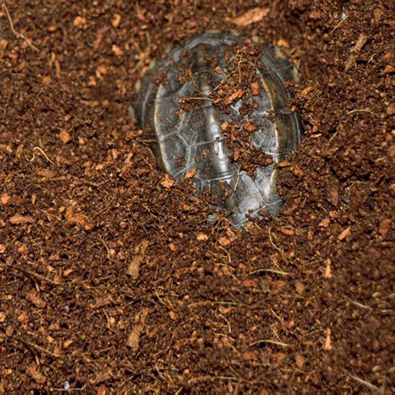 와자바비 바로 사용 가능한 코코넛 코이어 브릭 - 파충 - Substrate Coconut Fiber 리뷰 및 가격
