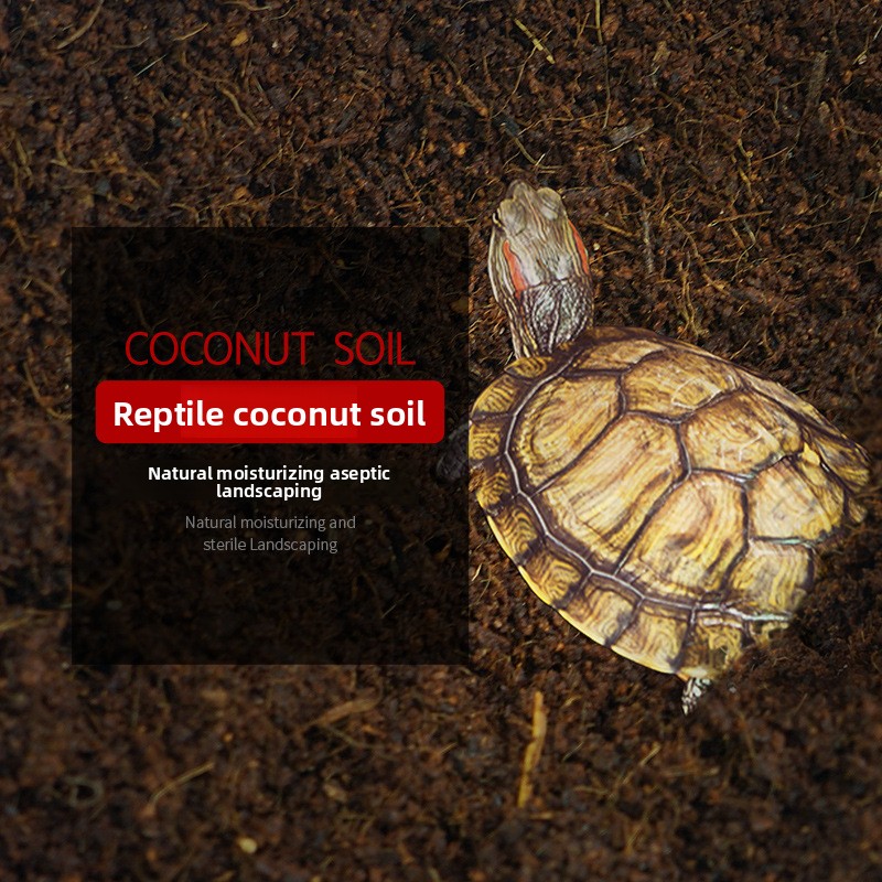 와자바비 바로 사용 가능한 코코넛 코이어 브릭 - 파충 - Substrate Coconut Fiber 리뷰 및 가격