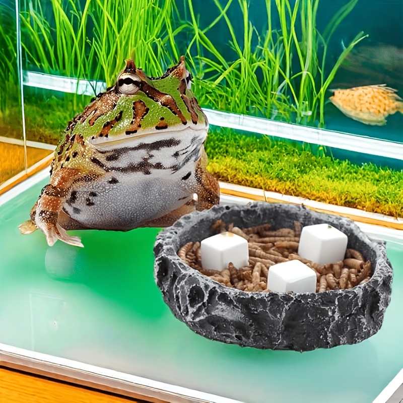 6개입 어항 칼슘 블록 미네랄, 파충류/거북이/달팽이용 - Calcium Powder Reptile 리뷰 및 가격