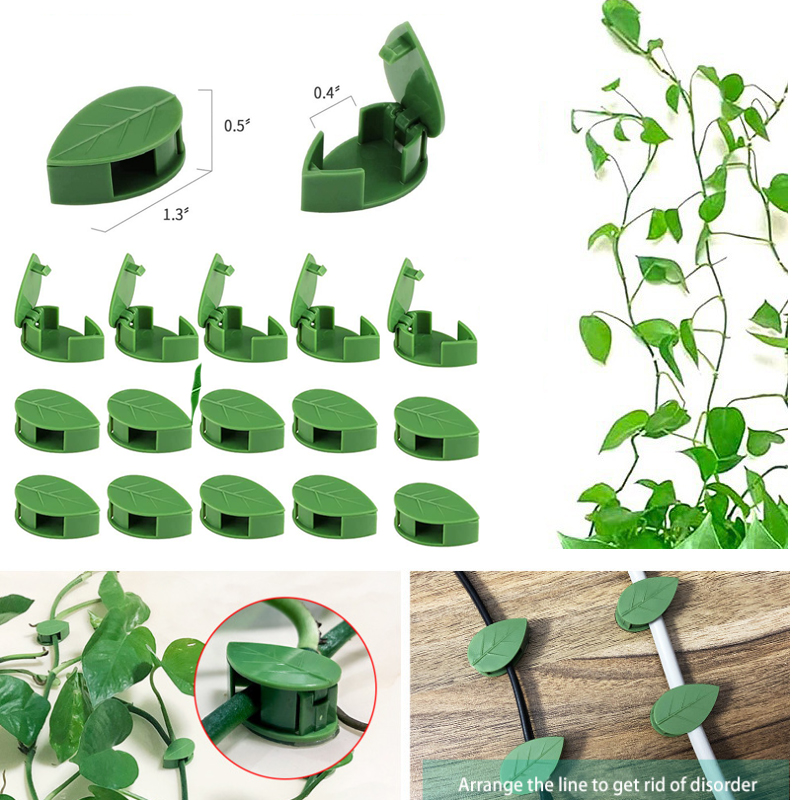 보이지 않는 식물 등반 벽 고정 장치 등나무 포도 나무 - Vine Climbing Plastic 리뷰 및 가격