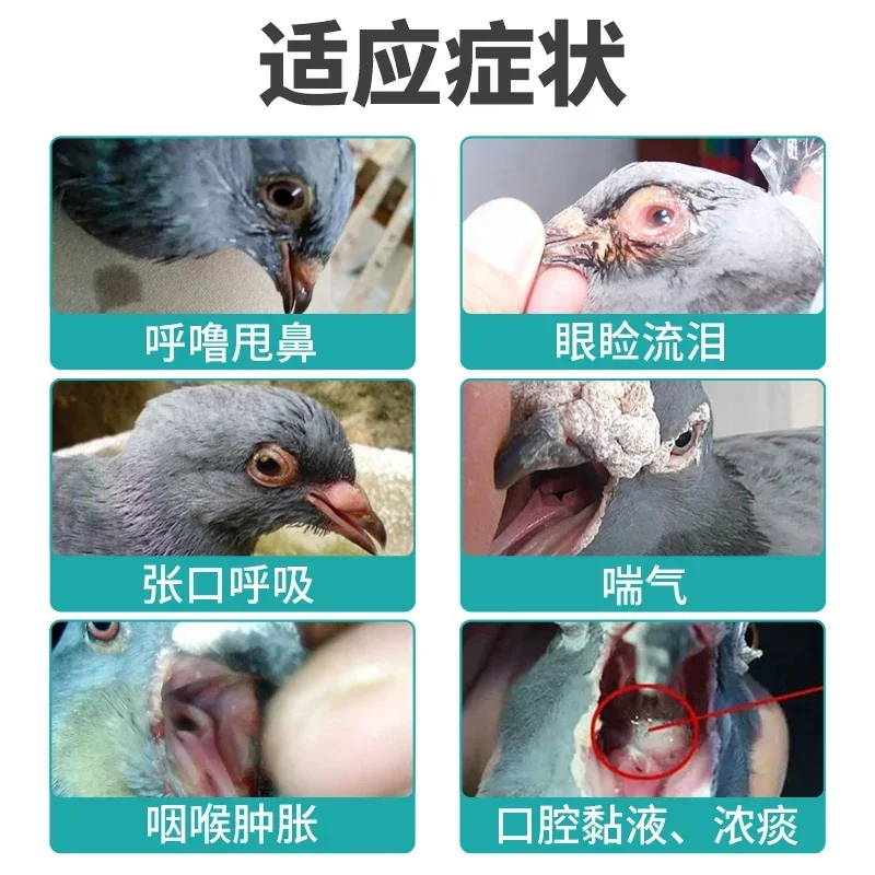 앵무새 고기 비둘기 닭 오리 거위 가금류 사용, 비타민 - Vitamin D3 Reptile 리뷰 및 가격