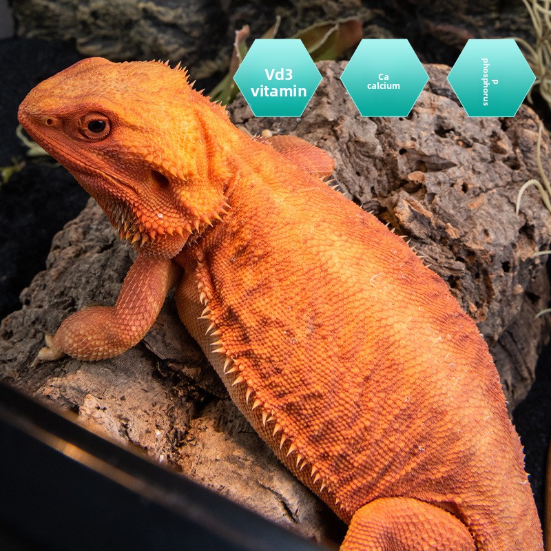 SuperRep Reptile Calcium 프로비타민 - Vitamin D3 Reptile 리뷰 및 가격